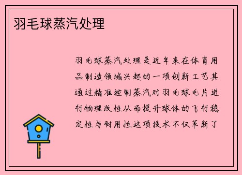 羽毛球蒸汽处理